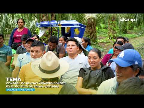 CAPACITACIÓN EN PALMA ACEITERA – SAN MARTÍN