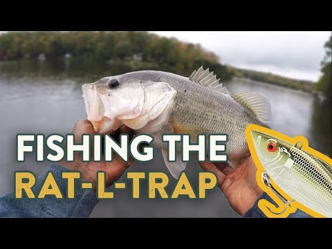YouTube video about: How to fish a rattle trap lure?
