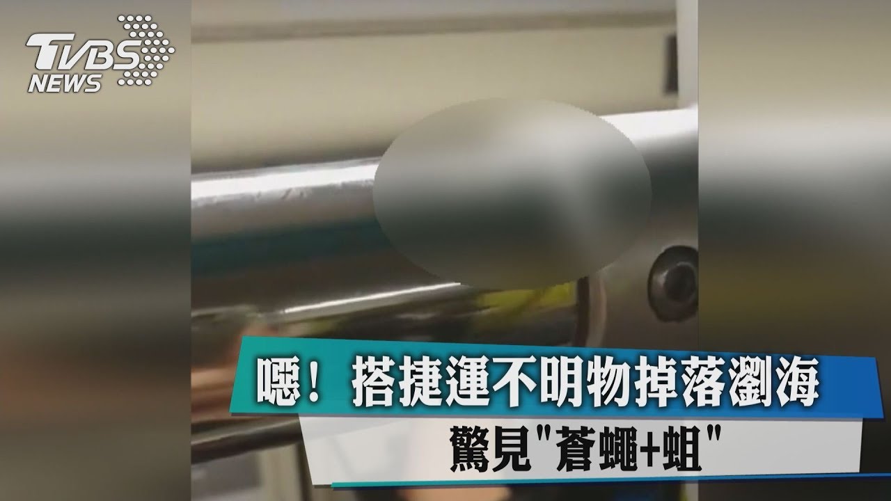 噁!搭板南線被「蛆」砸到 鑽入頭髮內蠕動
