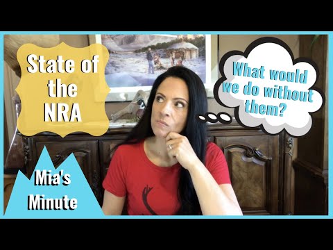 NRA-AM Updates, Thoughts, and Mentoring