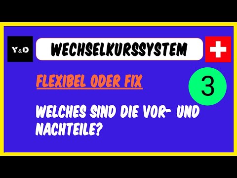 Währung TEIL 3/3 | Fixe und Flexible Wechselkurssysteme | Einfach Erklärt | Bretton-Woods, Parität