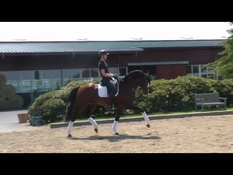 Trainingsimpressionen | Clarksville