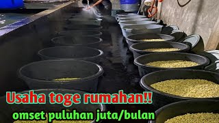 Download lagu Usaha toge rumahan omset puluhan juta perbulan mp3