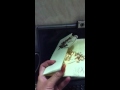 Sample wedding invitation.MOV Sample wedding invitation.MOV