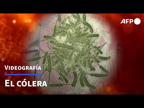 El cólera | AFP