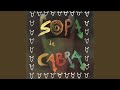 El Boig de la Ciutat