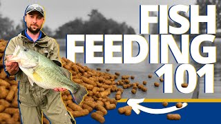 Everything To Know About Feeding Fish In Your Pond - Pond & Lake Management Tutorial