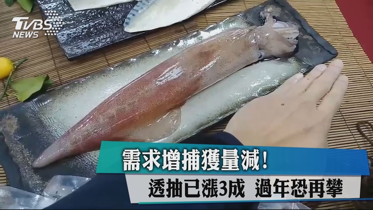 需求增捕獲量減!透抽已漲3成 過年恐再攀