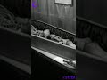 Museum Of Witchcraft And Magic Cornwall