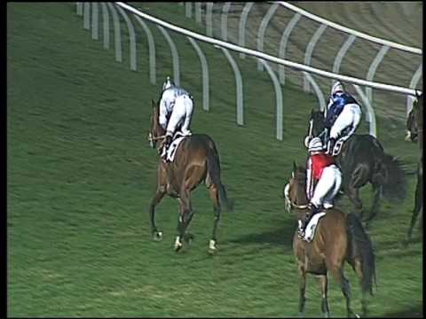 Galoppo 11/02/2017 - 6ª corsa - TRIS