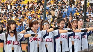 【Passion Sisters】#林可#夏蕾#白白#盈瑩#Windy#儀諪#揮棒落空三振他#台湾チアリーディングチーム#中華職棒#CPBL#洲際_20240825火影主題日