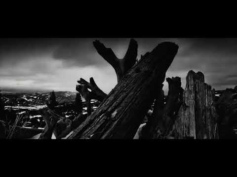 Gabriel França C.S - Vita