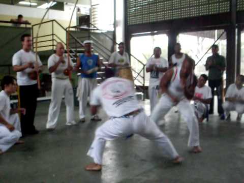 contramestre pulga vs prof sadi