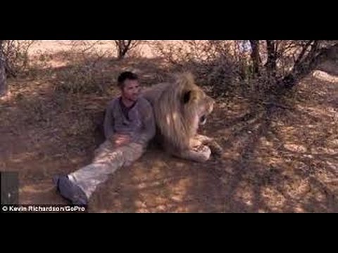 Big Cat Fans - Lions Can Be Bitchy?? | The Lion Whisperer