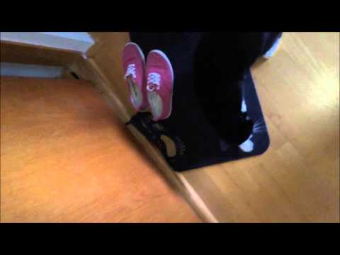 Kött Grá Pje - Trilljón skötur (Lady Babuska Hermetis Trismegisti Edit)