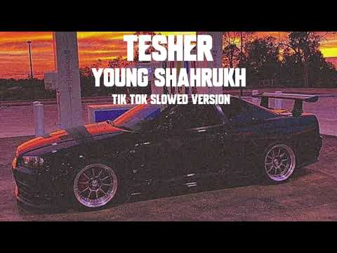 Tesher - YOUNG SHAHRUKH | Tik Tok Slowed Version ( i got 500 dollars in cash )