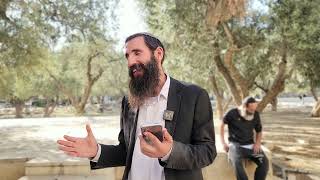 המקום שהכי מסוגל לקבלת התפילות! | הרב אלישע וולפסון (ישיבת הר הבית) - התמונה מוצגת ישירות מתוך אתר האינטרנט יוטיוב. זכויות היוצרים בתמונה שייכות ליוצרה. קישור קרדיט למקור התוכן נמצא בתוך דף הסרטון