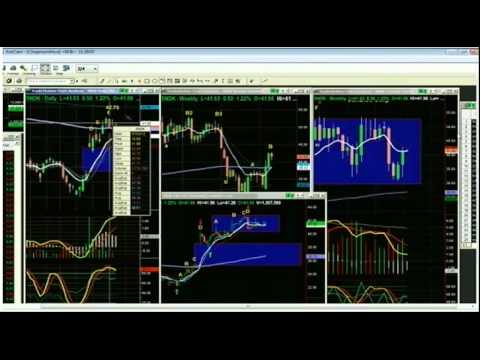 Aug 1st Tiger Technicians Hour with Basil Chapman