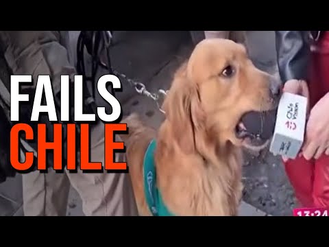 Solo pasa en Chile 161 | Elchileno2.0