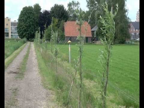 Hooglanderveen over de Laak