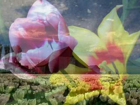 My Choice 432 - Nana Mouskouri: Love Changes Everything