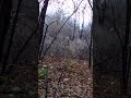 Curious 6 Point 10 Yards