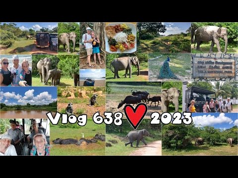 Vlog 638/23 - Srí Lanka - Yala park