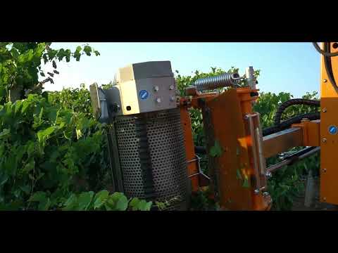 ΑΠΟΦΥΛΛΩΤΗΣ ΑΜΠΕΛΙΟΥ PROVITIS OPTIMA LS350-ΔΟΚΙΜΗ ΣΤΟ ΔΑΜΑΣΙ ΤΥΡΝΑΒΟΥ ΑΠΟ ΤΗΝ THESS-AGRO