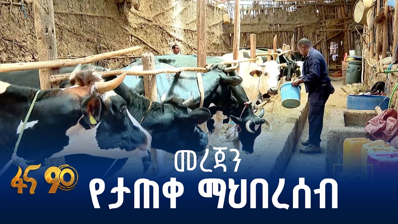 ዲጂታል የምክር አገልግሎት