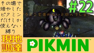 その日増やしたピクミンしか使えない縛り【現地調達ピクミン】#22