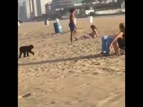 Вашей маме зять не нужен?