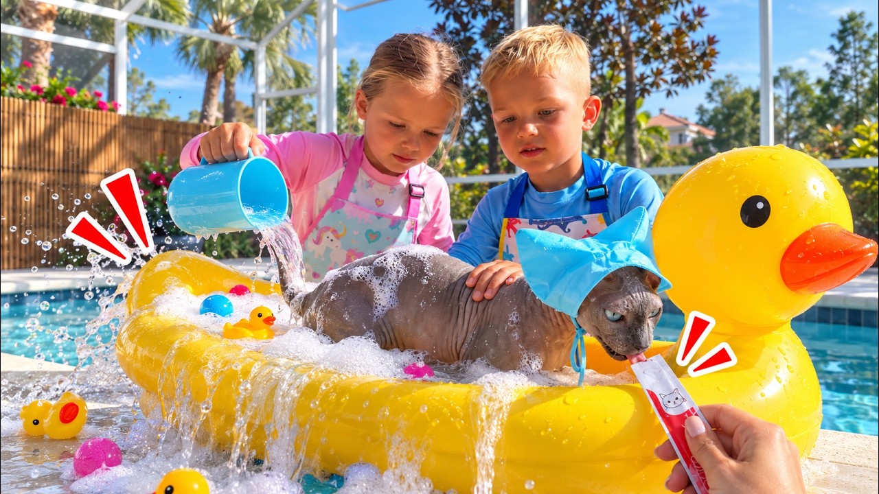 Naomi and David Help the Kitten Get Clean!