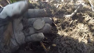 New Hampshire Metal Detecting from Land to Sand episode 2