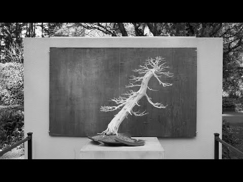 World War Bonsai: Remembrance & Resilience