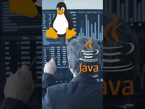 EC2 vs Lambda: Which AWS Compute Service Should You Use?