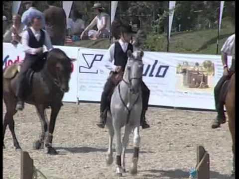 Planeta Equestre (3-4) | Magazine dedicado ao universo equestre, transmitido semanalmente na Spor...