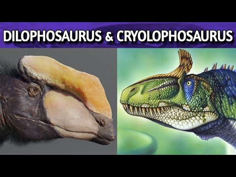 Dilophosaurus a Cryolophosaurus |  Bruno