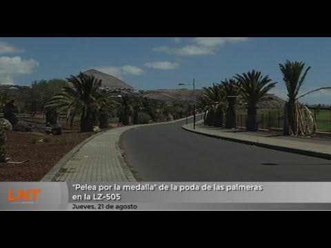 Lío de competencias entre ayuntamiento y Cabildo