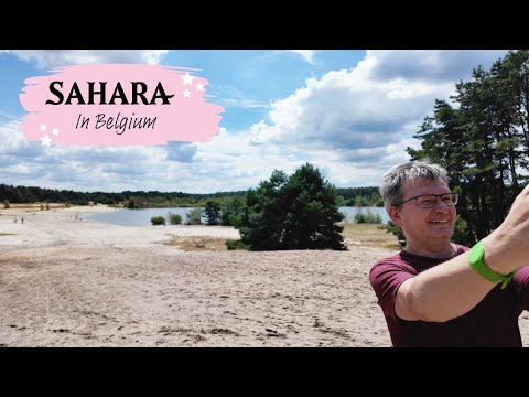 Lommelse Sahara | Hidden gem in Belgium