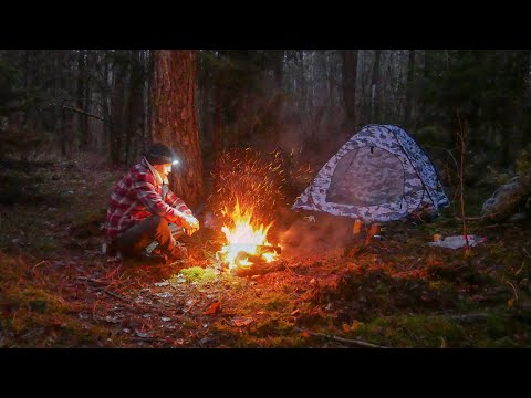 Холодная Ночь В палатке.  Поход с собакой  . Испытание палатки