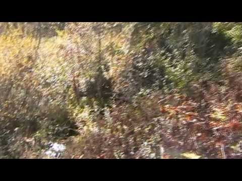 Mulliri i Gjoneve - Caravajkë