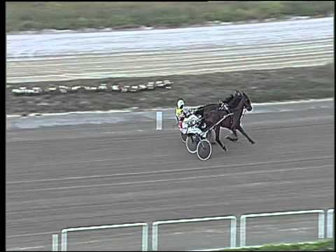 Trotto 07/06/2015 - 2° prova di qualifica