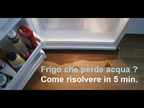 Frigorifero che perde acqua ? - Scarico condensa ostruito - Ecco la Soluzione Fai Da Te !