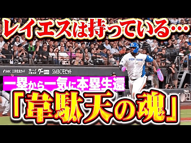 【韋駄天の魂】レイエス『新庄監督も歓喜！石井一成のタイムリーで…一塁から一気に本塁生還』