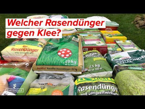 Welcher Rasendünger gegen Klee?