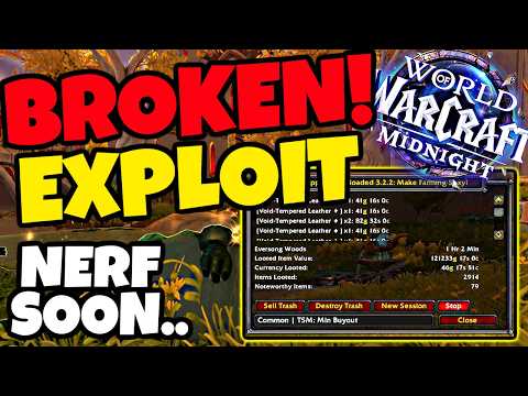 This Gold Farming EXPLOIT Will 100% Get NERFED Soon - Midnight Goldfarm