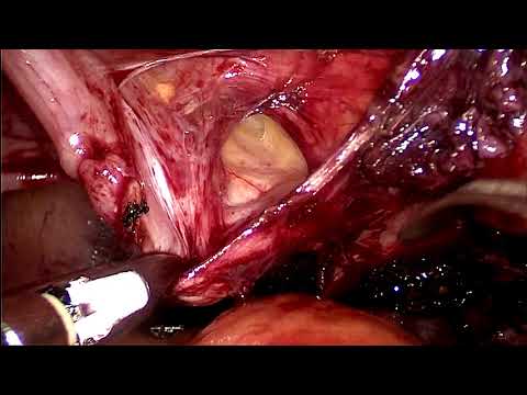 Қызбен порно той