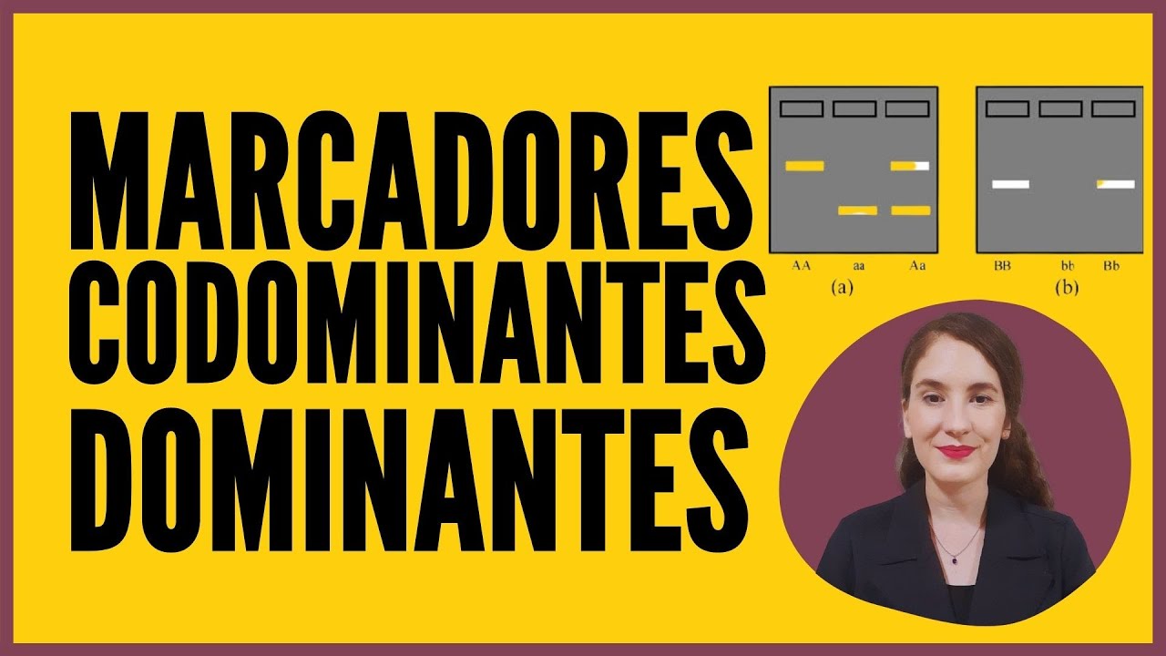 O que são marcadores moleculares dominantes e codominantes?