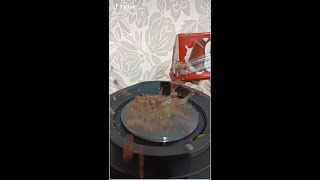 Download lagu JBL Bass test - JBL waterproof Son Ramil' mp3