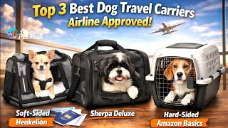 Best Airline Approved Dog Carrier | Which One To Choose?
